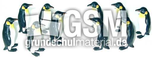 Pingu5+5.jpg